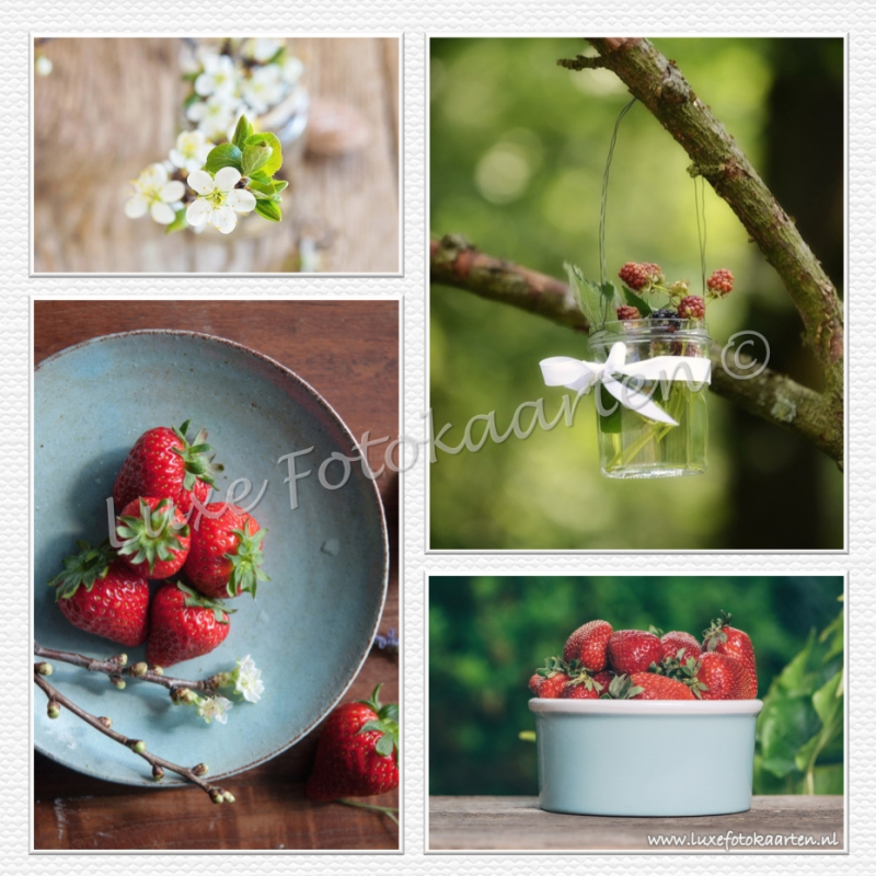 Blanco Algemeen - Aardbeien